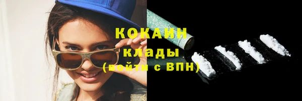 индика Россошь