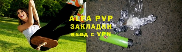 индика Россошь